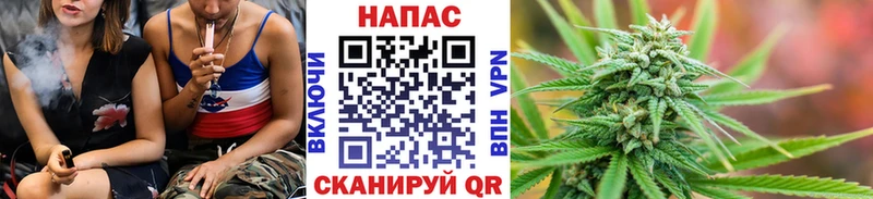 кракен сайт  Навашино  Бошки марихуана THC 21% 